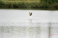 Cjp_2008_07_16_095749 (1).jpg